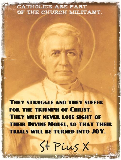 they struggle and they suffer - st pope pius X