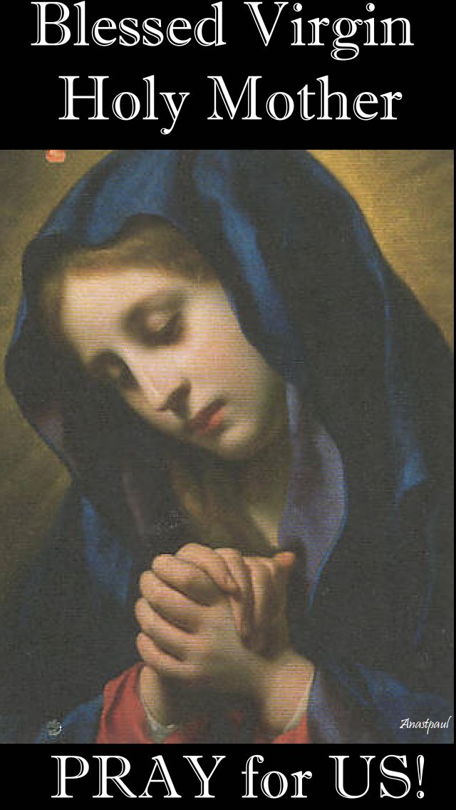 blessed virgin holy mother pray for us