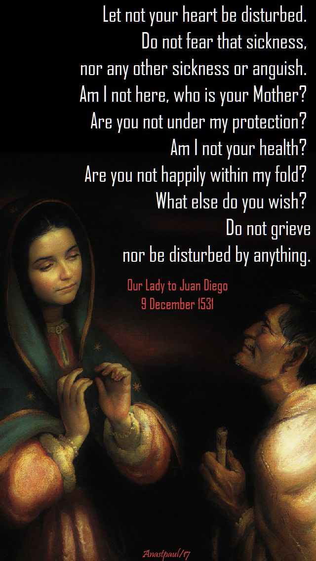 let not your heart be disturbed - our lady - guadalupe - 9 dec 2017