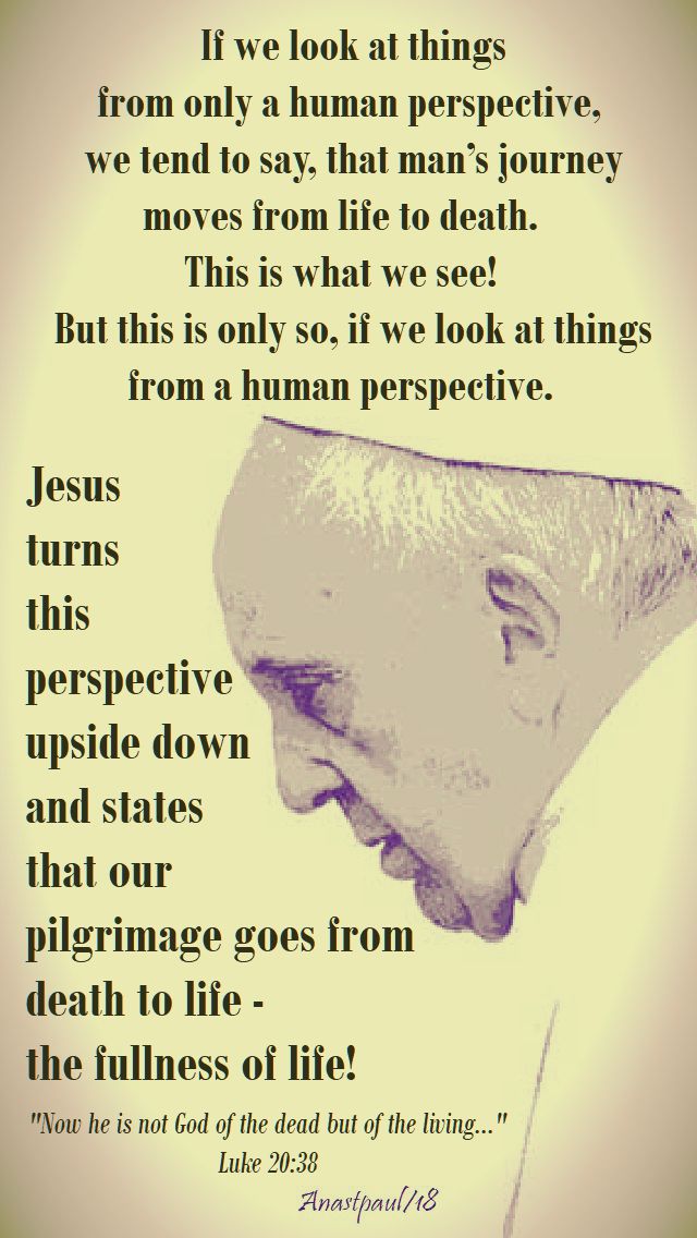 if we look at things from only a human pope francis - luke 20 38 now he is not god of the dead - 24 nov 2018