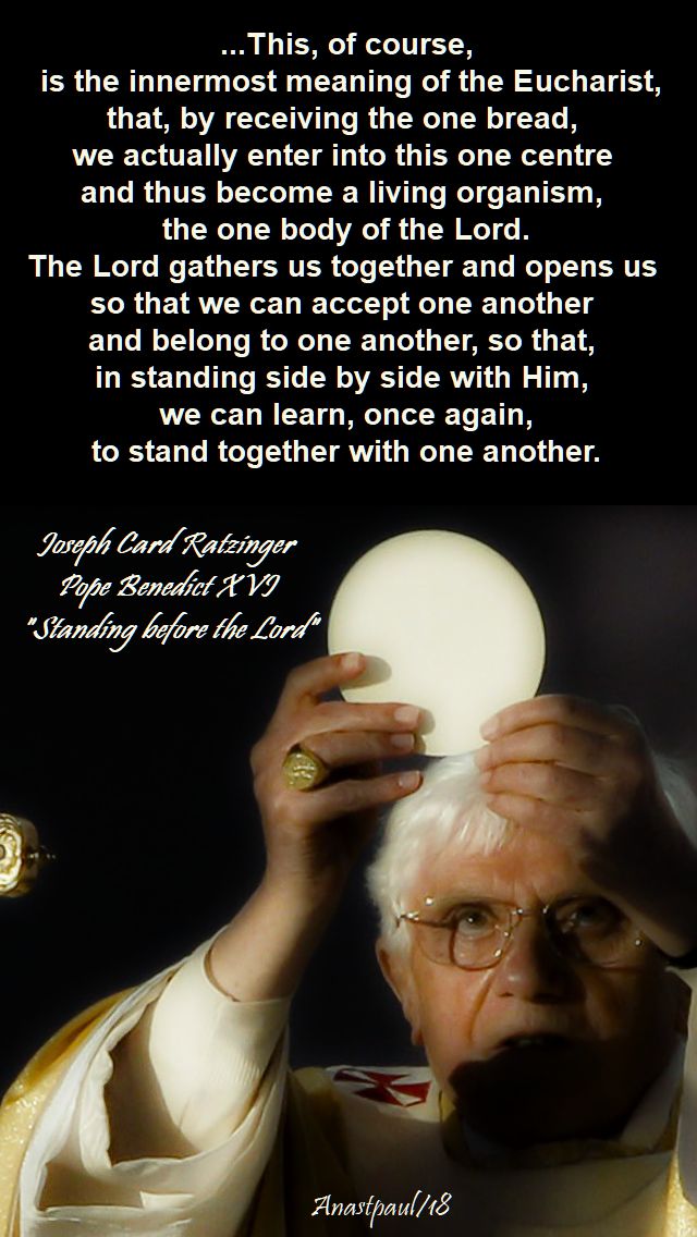 this of course is the innermost meaning of the eucharist - sun reflection - 11 nov 2018