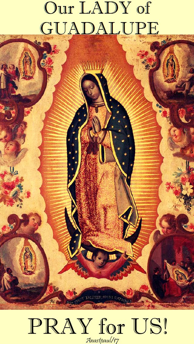 our lady of guadalupe pray for us - 12 dec 2017