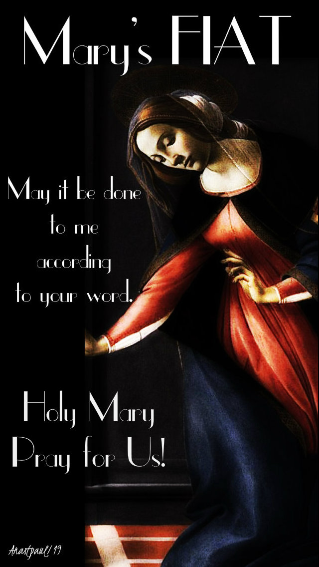 mary's fiat - holy mary pray for us 14 may 2019 pope francis and the rosary from Fr Enrico no 1.jpg