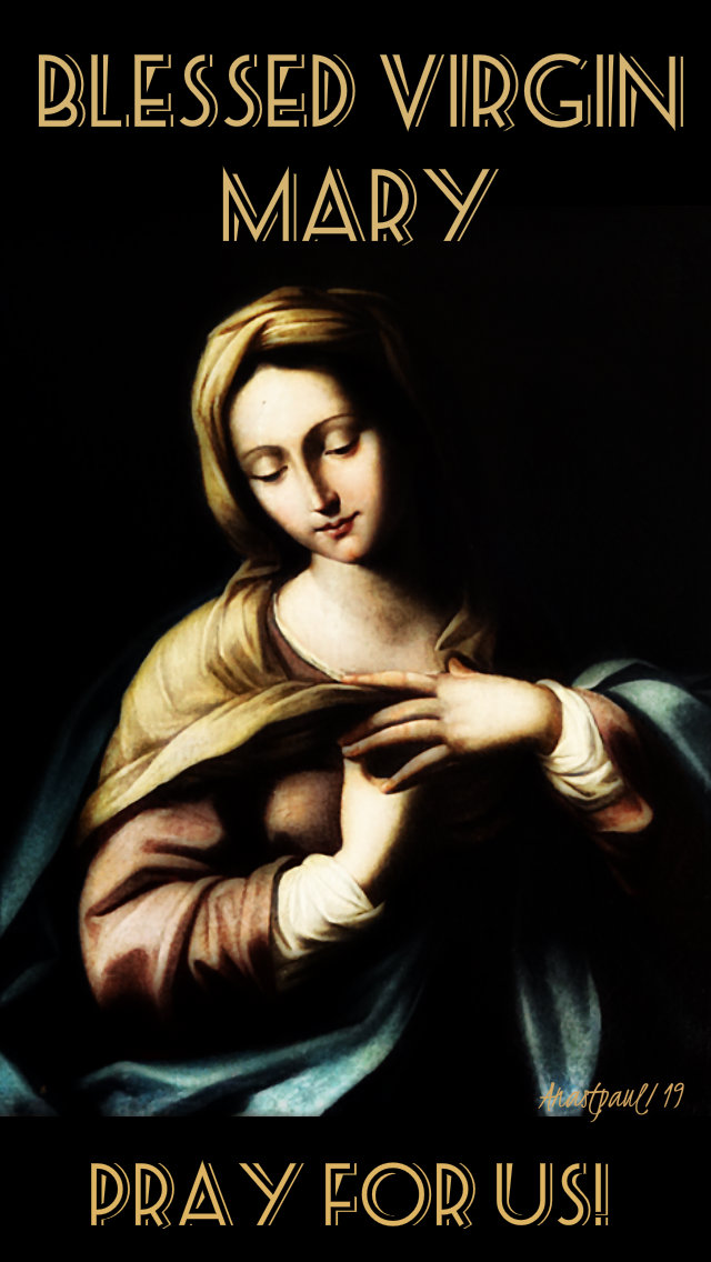 blessed virgin mary pray for us 17 jan 2019