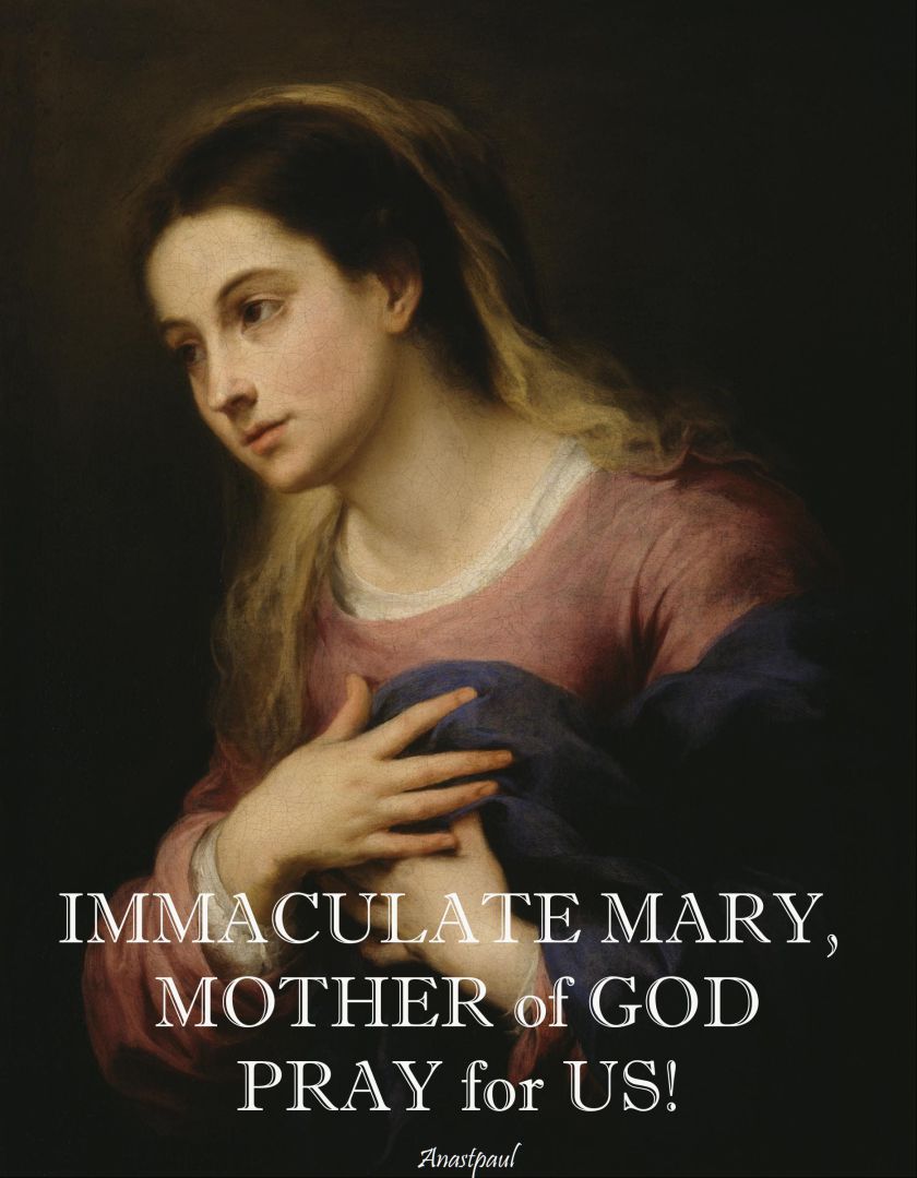 immaculate-mary-pray-for-us-26 aug 2017