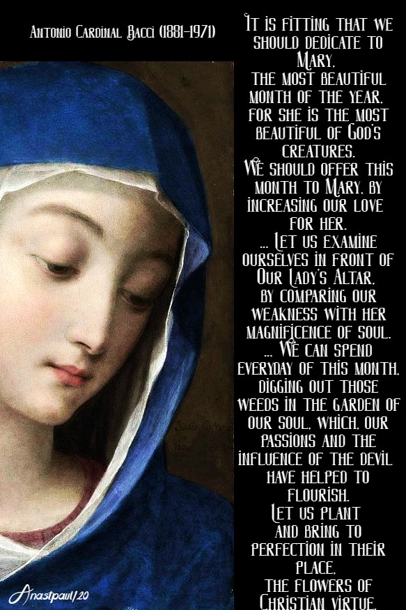 the month of mary - bacci - 1 may 2020