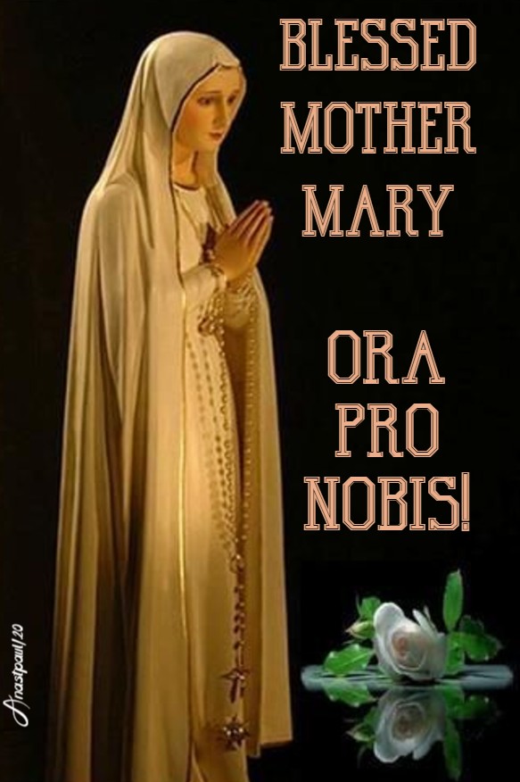 blessed mother mary ora pro nobis pray for us 10 june 2020