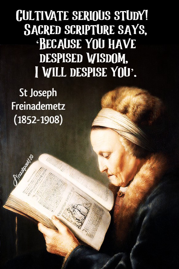 cultivate serious study! St Joseph freinademetz 12 july 2020