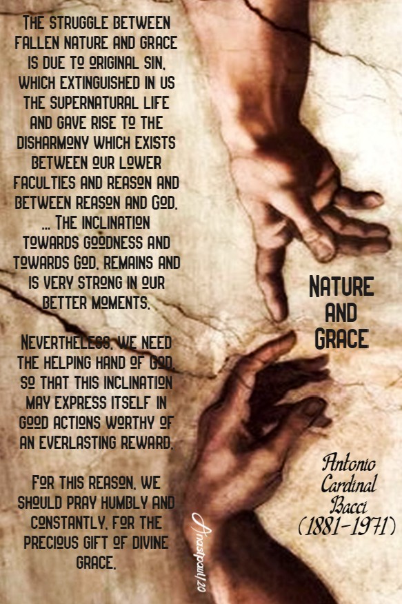 nature and grace - bacci 21 july 2020